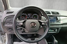 Skoda Lenkrad