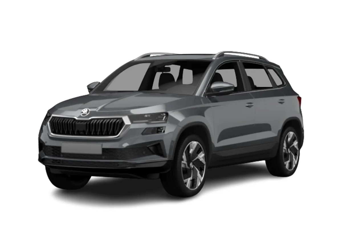 grauer Skoda Karoq